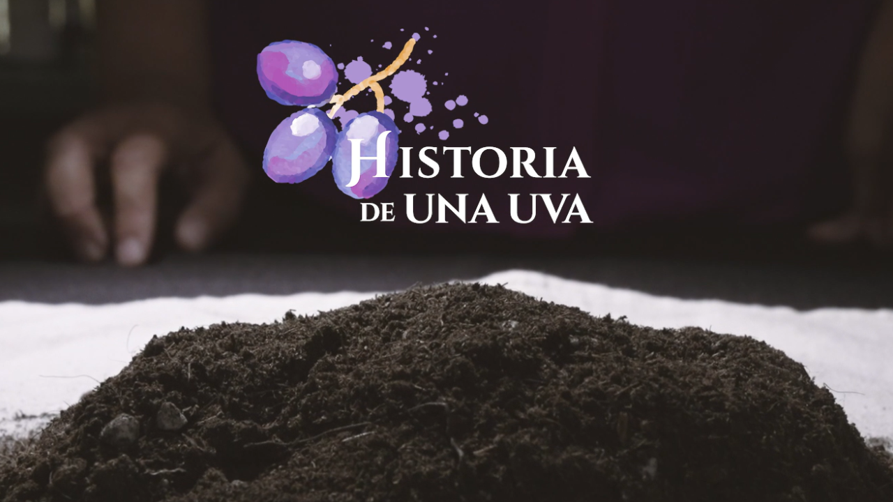 miniatura historia uva